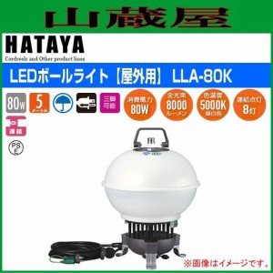 ハタヤリミテッド [HATAYA]  LEDボールライト[屋外用: LLA-80K