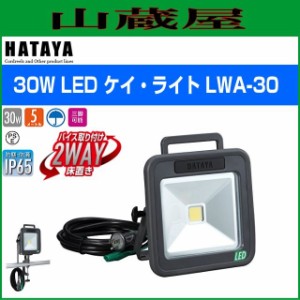 ハタヤリミテッド [HATAYA]  30W AC100V LEDケイ・ライト LWA-30