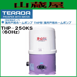 寺田ポンプ 浅井戸用ホームポンプ THP-250KS(60Hz)