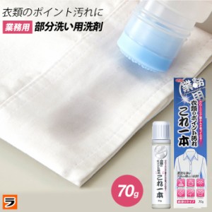 【定形外出荷】クリーニング屋さんの衣類のポイント汚れ これ一本 70g 部分汚れ用洗剤 部分洗い 洗剤 業務用 洗濯洗剤 クリーニング屋さ