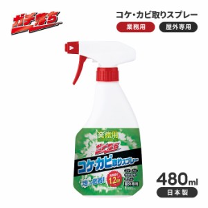 業務用 コケ カビ取りスプレー 480ml 中性 外壁 コンクリート ベランダ レンガ コンクリート 苔取りスプレー コケ取り剤 苔 掃除 こけ 除