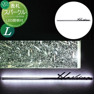 表札 ステンレス オンリーワンクラブ オンリーワンエクステリア 【表札 スパークル Lサイズ】 ステンレス LED 横長方形