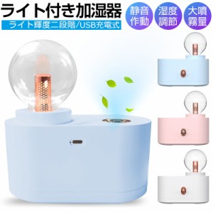 加湿器 ミニ加湿器 卓上加湿器 USB充電式 超音波式 ナノミスト噴霧 連続噴霧 断続噴霧 LEDライト 電球設計 優しい照明 輝度調節 ギフト