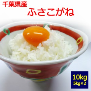 【新米】【送料無料】【白米】【令和５年産】千葉県産 ふさこがね　１０kg 　お取り寄せ　5kg×2　10キロ 　お米 