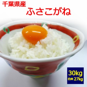 【新米】【令和５年産】【送料無料】【玄米】【白米】千葉県産 ふさこがね ３０kg　 お取り寄せ　30キロ 　お米 