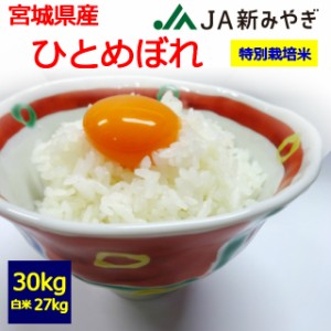 【特別栽培米】【令和５年産】【送料無料】【白米】　栗っこ　宮城県産　ひとめぼれ　３０kg　 お取り寄せ　30キロ 　お米　栗原市　JA新