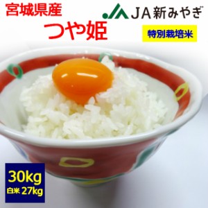 【特別栽培米】【令和５年産】【送料無料】【白米】　栗っこ　宮城県産　つや姫　３０kg　 お取り寄せ　30キロ 　お米　栗原市　JA新みや