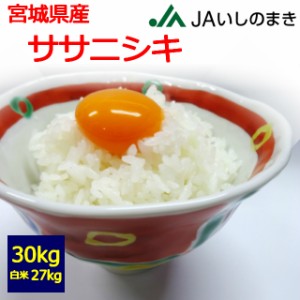 【令和５年産】【送料無料】【白米】　いしのまき　宮城県産　ササニシキ　３０kg　 お取り寄せ　30キロ 　お米　石巻市　JAいしのまき