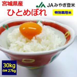 【特別栽培米】【令和５年産】【送料無料】【白米】　宮城県産　ひとめぼれ　３０kg　 お取り寄せ　30キロ 　お米　登米市　JAみやぎ登米