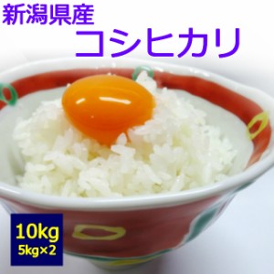 【送料無料】【白米】【令和５年産】　新潟県産　コシヒカリ　１０kg　 お取り寄せ　10キロ 　お米　５kg×２