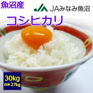 【送料無料】【玄米】【白米】【令和５年産】魚沼産　コシヒカリ ３０kg　お取り寄せ　30キロ　お米　JAみなみ魚沼　南魚沼市　六日町