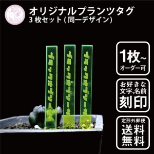 オリジナル蛍光プランツタグ 3枚セット(同一デザイン) 植物ネームプレート 園芸ラベル ガーデニングラベル 植物タグ 蛍光