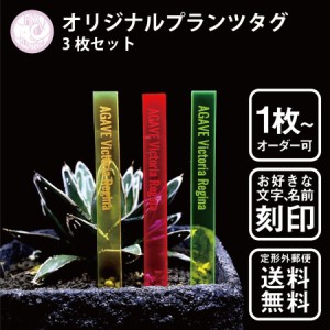 オリジナル蛍光プランツタグ 3枚セット 植物ネームプレート　園芸ラベル　ガーデニングラベル　植物タグ　蛍光