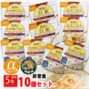 非常食 防災 ごはん10個セット 詰め替え用 備蓄用 防災グッズ 非常食 防災 災害対策 地震対策 防災用品 防災セット 避難グッズ 家族 避難