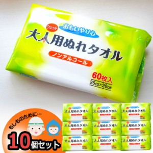  防災 大人用ぬれタオル 10個 非常用 ウェットティッシュ ノンアルコール 家族用 備蓄用 防災グッズ 災害対策 防災用品 避難グッズ 家族 