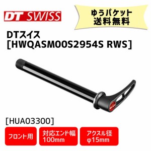 DT SWISS HWQASM00S2954S RWS スキュワー 15/100 フロント用 アルミ合金シャフト 自転車 ゆうパケット発送 送料無料