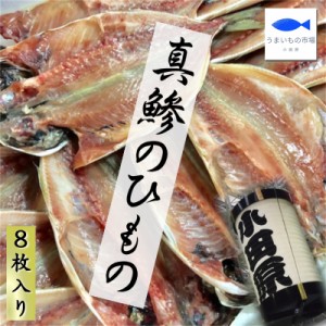 真あじ干物 大10枚 (1枚当たり約140g) 【小田原老舗大半の干物】 国産真あじ使用、脂あります 【冷凍便】