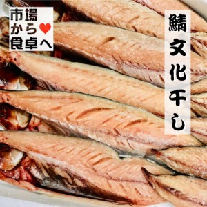 さば文化干し 鯖の干物 12枚(1枚当たり約100g)【小田原老舗 大半の干物】脂のっています【冷凍便】