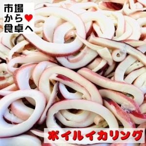 ボイルイカリング 3kg入り 【チルド業務用】サラダ・トッピング・炒め物・揚げ物に【冷蔵便】