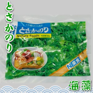 青 とさか のり 20袋入り（500g×20）業務用【日本業務】 国内産天然海藻・着色料不使用 ・刺身のつま、料理の付け合わせに