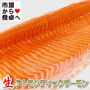 生 アトランティックサーモン 約2kg 半身【業務用・脂あります】お刺身・お寿司・カルパッチョ・ステーキ・ムニエル・フライに【冷蔵便】