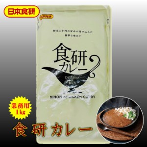 食研 カレー 1袋 (1kg) 【 日本食研・業務用 】 温めるだけですぐ召し上がれま【ポスト便】