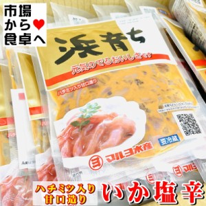 塩辛 浜育ち 40袋(1袋100g) 【マルヨのいか塩辛】 はちみつ入り甘口造り・ビタミンＥ配合【冷蔵便】