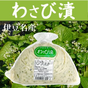 わさび漬け 1kg 入り 【 伊豆名産 ・ 国産 わさび 使用 】 チルド品 鮮度重視 【冷蔵便】