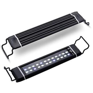 薄い 水槽の通販 Au Pay マーケット