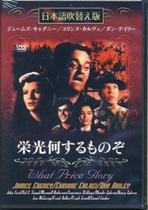 [メール便OK]【新品】【DVD】栄光何するものぞ[在庫品]