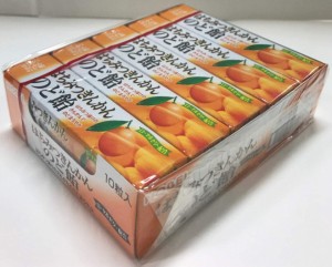 ノーベル製菓 はちみつきんかんのど飴 10粒×10個