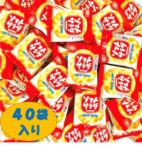 亀田製菓 ２枚ソフトサラダ４０個（１BOX）