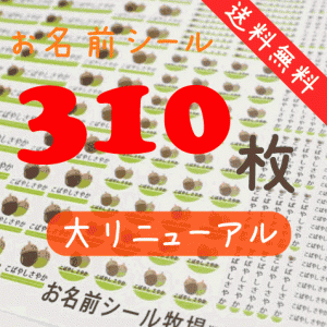 お名前シール【どんぐり】310枚 A4セット 入園しまシール カラー ネームシール 入学 入園 防水 こすってもとれない