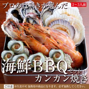 海鮮 バーベキュー カンカン焼きセット 豪華海鮮 4種類 20品 赤海老 殻付き 牡蠣 帆立 サザエ ２〜３人前 BBQ キャンプ お花見 歓送迎会 