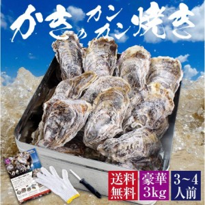 特大LLサイズ 冷凍 牡蠣 殻付き カンカン焼き 海鮮 バーベキュー セット 広島県産 総重量約3kg 約16個前後 冷凍 貝類 一斗缶 軍手 ナイフ