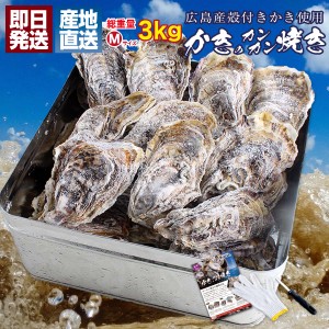 牡蠣 殻付き カキ カンカン焼き 海鮮 バーベキュー セット 広島県産 総重量約3kg Mサイズ 約27個前後 冷凍 貝類 一斗缶 軍手 ナイフ かん