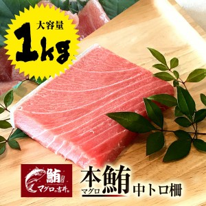 本マグロ 中トロ ブロック 業務用 大容量 1kg 極上の旨味が味わえます！ 解凍レシピ付 プレゼント 海鮮 ギフト まぐろ マグロ 鮪 刺身 美