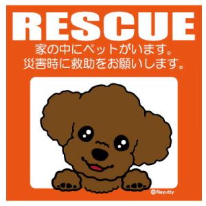 カープ ペット グッズの通販 Au Pay マーケット