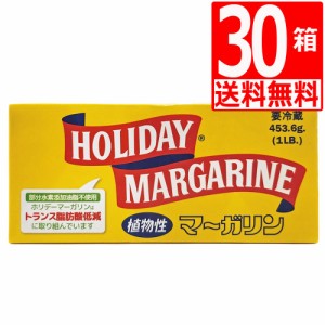 ホリデーマーガリン 4本スティックタイプ 450g×30個 [送料無料] バターの代替品として 沖縄郷土料理 ステーキに最適