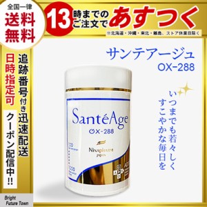ニナ ファームの通販|au PAY マーケット
