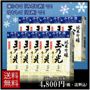 ギフト 玉乃光 日本酒 純米吟醸 みぞれ酒 青パック 300mlパック×10個 送料無料 JG550-au 贈り物 大人のかき氷 酒カクテル 大容量 紙パッ