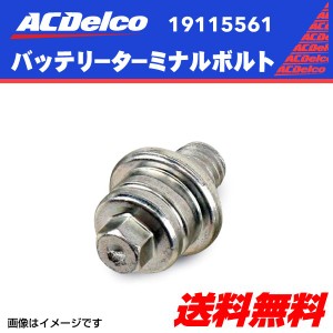 ACデルコ　バッテリー　ターミナルボルト 28mm 新品 x 8mm 19115561 アメ車 サイドターミナル