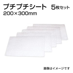 緩衝材 梱包材 プチプチ カット品 サイズ200×300mm 5枚 送料無料