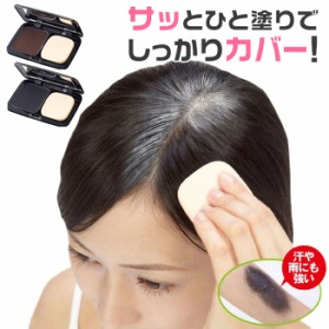 白髪隠し 白髪染め 軽量 コンパクト【ボタニカル ヘアファンデ】部分染め 部分 白髪 白髪染 簡単 白髪かくし 生え際 生え際用 ポイント用