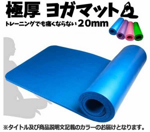  身体を痛めにくい！極厚ヨガマット ピンク 専用ケース付属 トレーニングマット 20mm 2cm YOGA エクササイズ ストレッチ ダイエット 健康