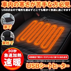 ホットカーシート カーシートヒーター ヒータークッション 極暖 速暖 車 運転席 助手席 家 会社 電熱 USB 電気マット CASOKUDAN