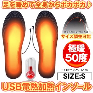 電熱インソール S 23-25cm 中敷き ヒートインソール USB加熱式 電熱ウェア 冷え対策 フットウォーマー 防寒 あったか インソール DENSOLE