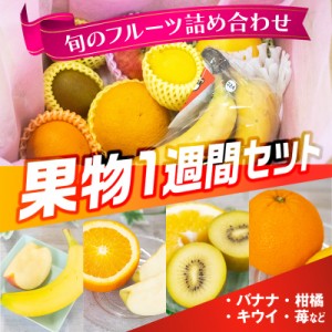 果物 1週間セット 厳選 約1.4kg (200g×7日分) 送料無料 父の日 旬 果物 フルーツ 詰め合わせ ギフト 贈答 お土産 常温便