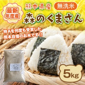 米 5kg 無洗米 森のくまさん 熊本産 最新年度産 送料無料 特A評価 精米 白米 うるち 常温便