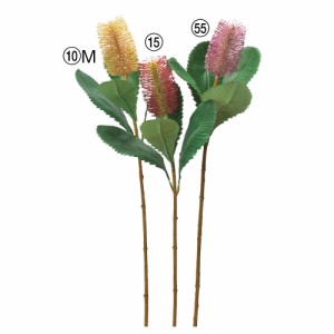 asca バンクシア 花材 造花 フラワー 資材 ディスプレイ アレンジメント 装飾